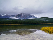 Rain in Banff 