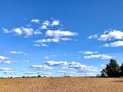 On a Clear Day