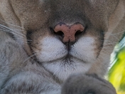 Staring into your Soul