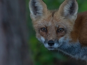 Staring deep into your Soul