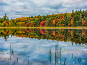 colorful fall view in algonquin park