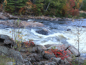 Fall Is here