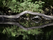 A Quiet Spot . . .  for Reflection