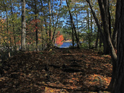Fall is coming 