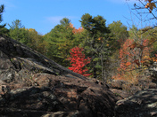 Fall is coming 