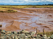 High Tide or Low Tide