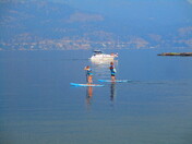 PADDLEBOARDERS
