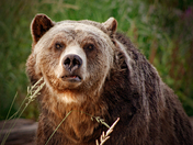 are you looking at me?