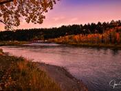 Autumn Sky 