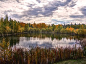 river valley fall scene 