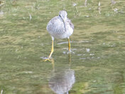 Mirror mirror on the wall , who's the fairest of them all 