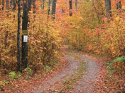 Fall on the iland 