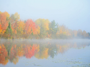 Fall on the iland 
