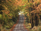 Fall along  the ST Mary's river  