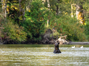 For a moment all the world was right