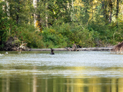 For a moment all the world was right