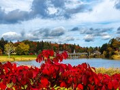  Autumn Landscape 🍂 