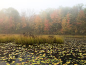 Magical Mist-ical Morning