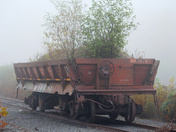 In the Northerner Fog 
