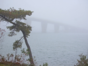 In the Northerner Fog 
