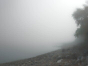 The Fog Cometh