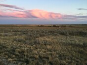 Along the Old Highway