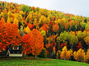 Autumn Vibes - @ Rural Albert County, New Brunswick