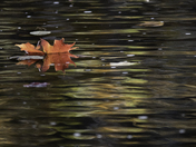 Weightless II