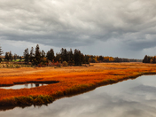 Belle River