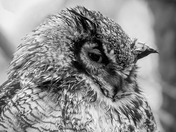 Don't think I don't see you