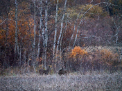 Sparring and Socializing