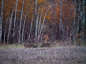 Sparring and Socializing