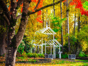Chapel In The Woods