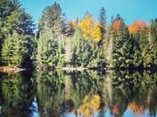 Fall in Algonquin
