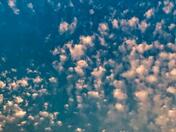 Cloud Magic 