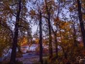 Colorful Autumn Trees 