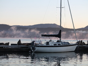 Sea Lions at Sunrise 