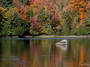 Fall in Minden