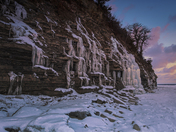 Little Bluff Conservation Park