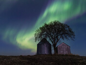 Spring Aurora
