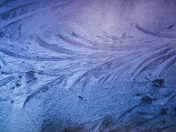 frost