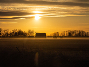 Misty Sunset