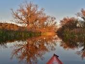  In search of Fall colours.