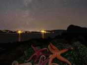 Stars and sea stars