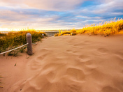 Heading To The Beach