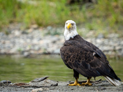 I see you, cause in you, I see me