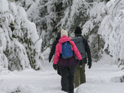 Walking in a winter wonderland