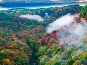 fog raising in Dundas Valley