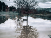 Delair Park Underwater