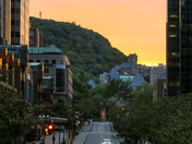 McGill College Avenue